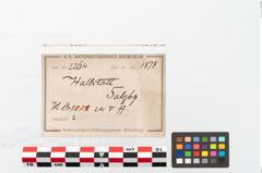 Etikett zu Bronzegürtelblech (NHMW-PRAE-002264)